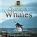 Andrés Roca - Chorus Of Whales
