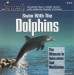 John St. John - Swim With The Dolphins