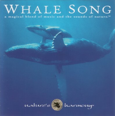 MichaelLicari-WhaleSong.jpg