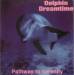 Tara Andre - Dolphin Dreamtime