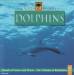John St. John - Dolphins