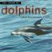 Levantis - The Sound Of Dolphins