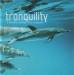 Madrugada - Tranquility