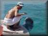 dolphins pictures 030314-20.jpg