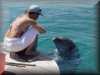 dolphins pictures 030314-22.jpg
