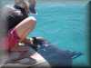 dolphins pictures 030314-24.jpg