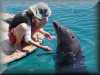 dolphins pictures 030314-28.jpg