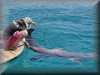 dolphins pictures 030314-31.jpg