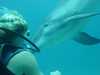 dolphins pictures 040515-38.jpg