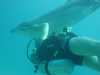 dolphins pictures 040515-54.jpg