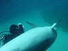 dolphins pictures 060101-11.jpg